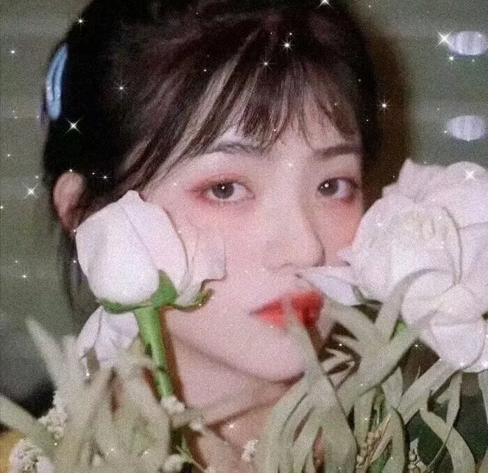 永不遗忘的美丽
